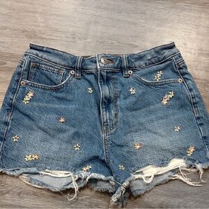 American Eagle Floral Embroidered Shorts